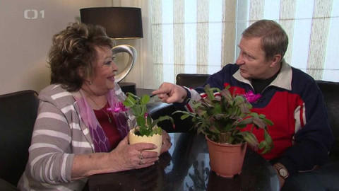 Hobby naší doby - 27. března 2021