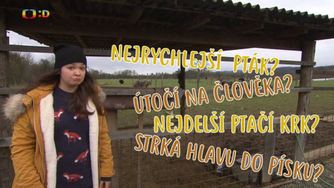 Terčin zvířecí svět - 12. února 2021