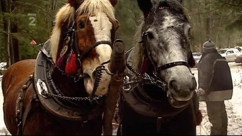 Folklorní magazín - 21. února 2009