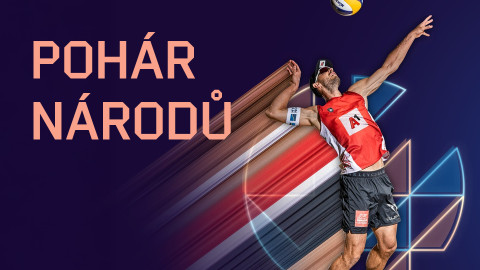 Pohár národů