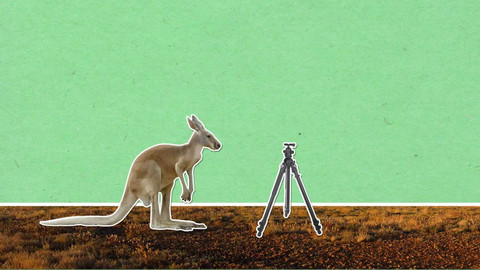 To je něco! - K čemu mají některá zvířata ocasy?