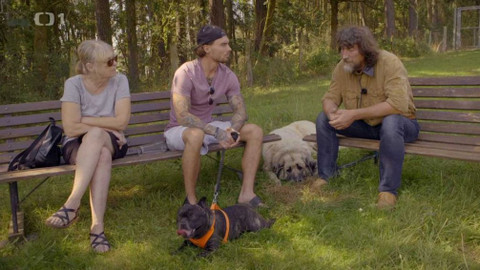 Kočka není pes - Agresivní Modřej a teritoriální Frankie