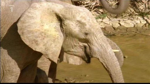 Kaleidoskop - 6. června 2010