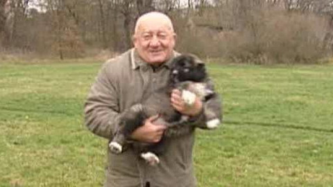 Chcete mě? - Chcete je?