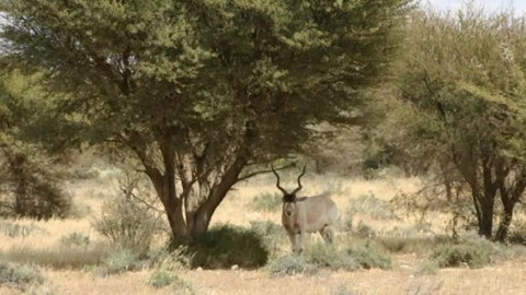 Chcete mě? - 14. prosince 2014