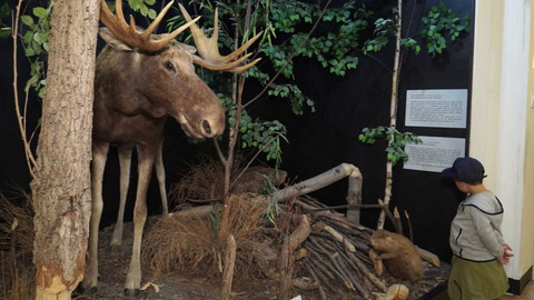 Tamtam - 12. října 2024