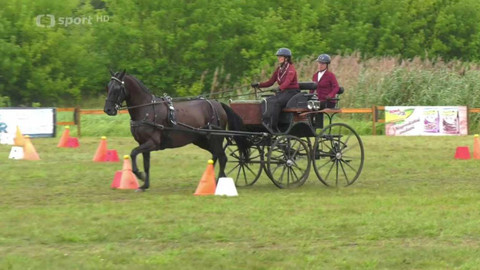 Jezdectví - M ČR spřežení Tlumačov
