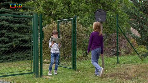 S Hubertem do lesa - Boj o jelena