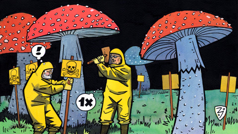 Na houby - 4/13 Magické muchomůrky