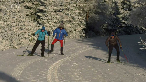 Běžkotoulky - Dlouhé Stráně v Jeseníkách