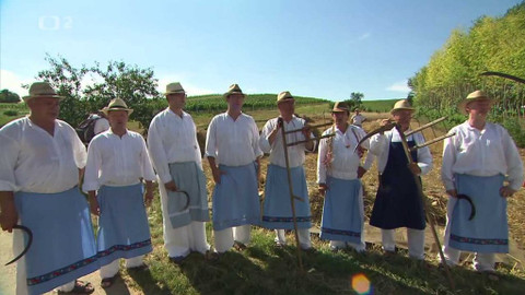 Folklorika - Žňa našich předků