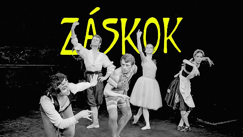 Záskok