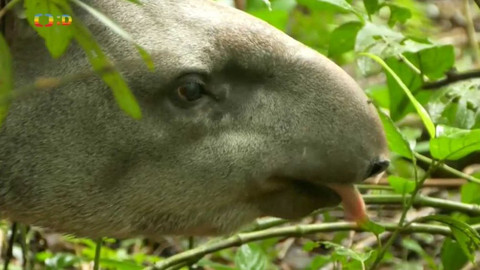 Zprávičky - 15. února 2018