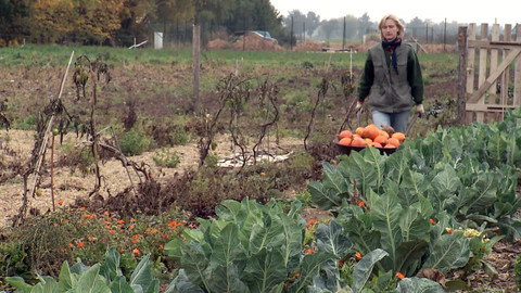 Nedej se! - Láska k půdě