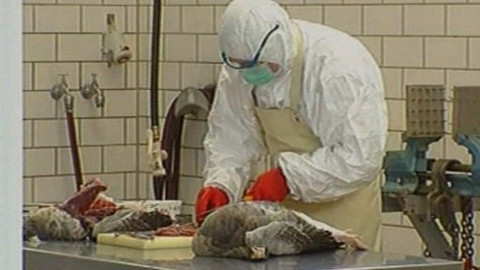 Reportéři ČT - 6. března 2006