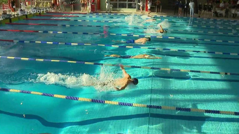 Plavání - Velká cena Ostravy