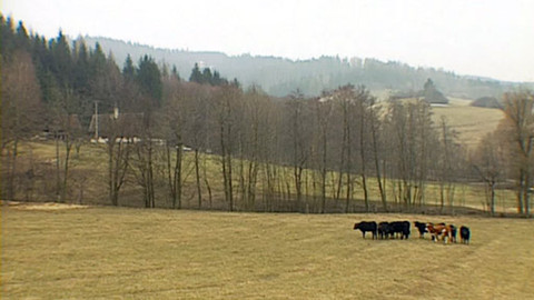 Náš venkov - Biozemědělci