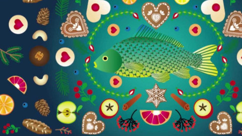 Týden v regionech (Brno) - 28. října 2023