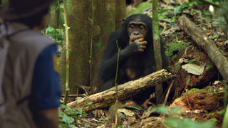 Andy a cesta kolem světa