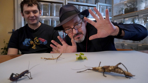 Co Čech, to chovatel - 3/8 Dům plný strašidel