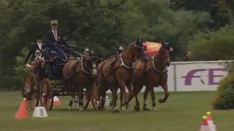 Jezdectví - Mezinárodní závody spřežení CAIO-W Nebanice