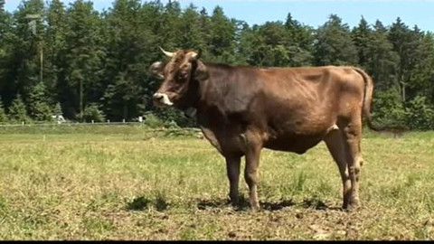 Objektiv - 12. září 2010