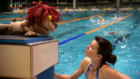 Lvíčata - Sportovní plavání