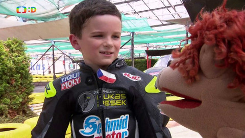 Lvíčata - 22. června 2019