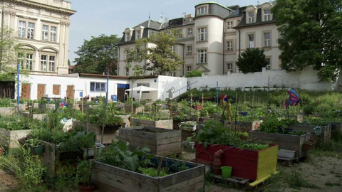 Náš venkov - Pečuj o svého zemědělce!