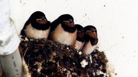 PORT - 9. září 2011