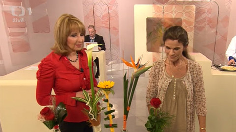 Sama doma - 7. února 2013