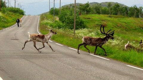 Na cestě - Na cestě po Laponsku