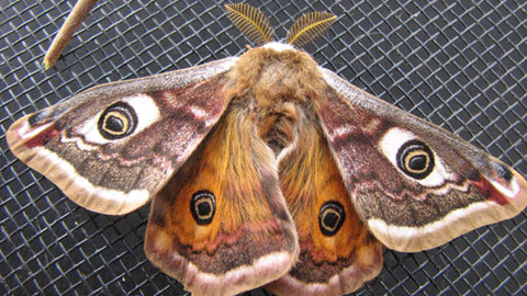 Máte mě! - 22. dubna 2012