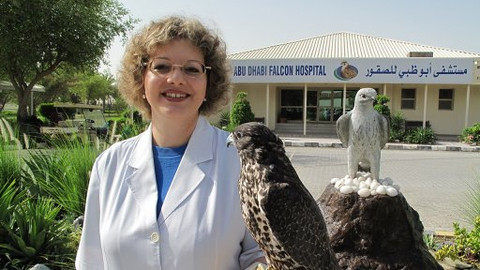 GEO 360° - Lékařka sokolů z Abú Zabí