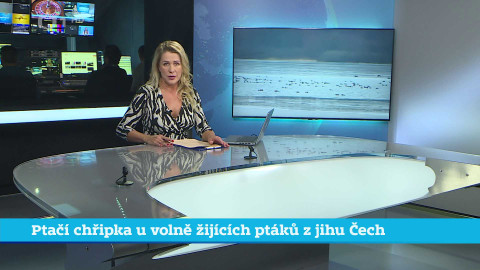 Události v regionech (jih a západ) - 30. ledna 2024