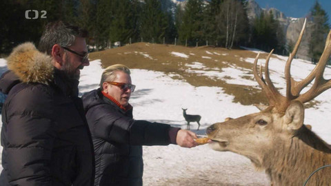Manu a Matěj - 10/10 Trento, město Vánoc a světla
