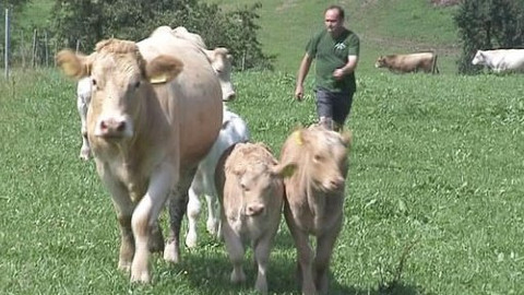 Náš venkov - Očima ekofarmáře