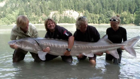 Za obřími rybami s Jakubem Vágnerem - 4/6 Jeseter bílý
