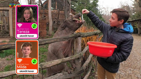 Wifina - 7. prosince 2018