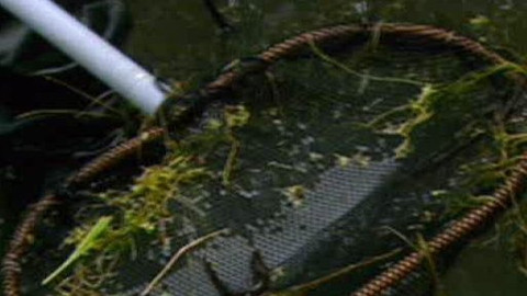 Přidej se - Kotvice