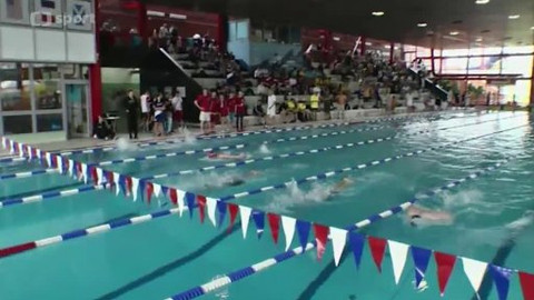 Plavání - Velká cena Ostravy v plavání