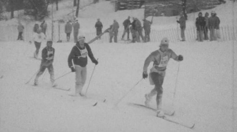 Archiv D - 7 000 vítězů