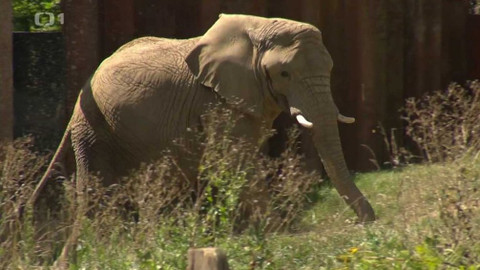 Týden v regionech (Brno) - 29. srpna 2020