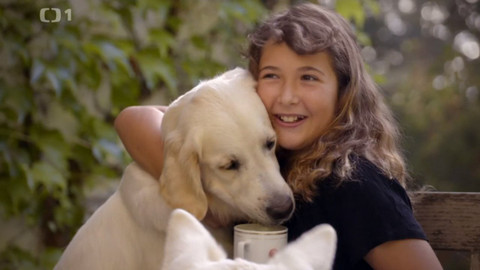 Kočka není pes - Návrat za minulými případy