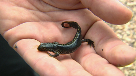 Chcete mě? - 3. května 2015