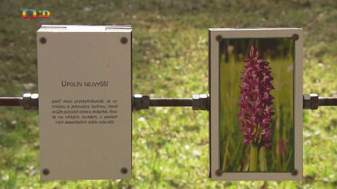 Tamtam - 8. května 2021