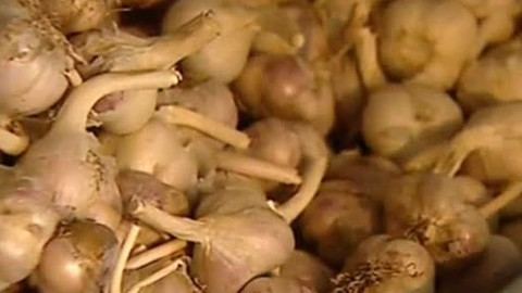 Pod pokličkou - Trhy a tržnice líbí se nám velice. Co všechno nevíme a víme o tom, co pijeme a jíme