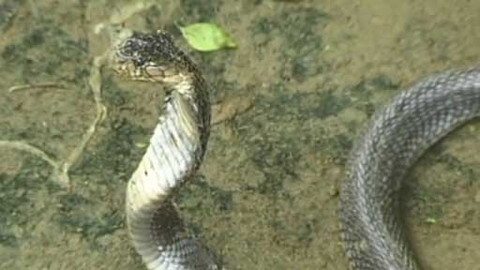 Objektiv - 12. července 2015