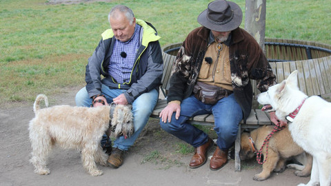 Kočka není pes - Návrat za minulými případy