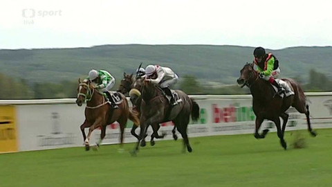 Jezdectví - Velká cena Prahy